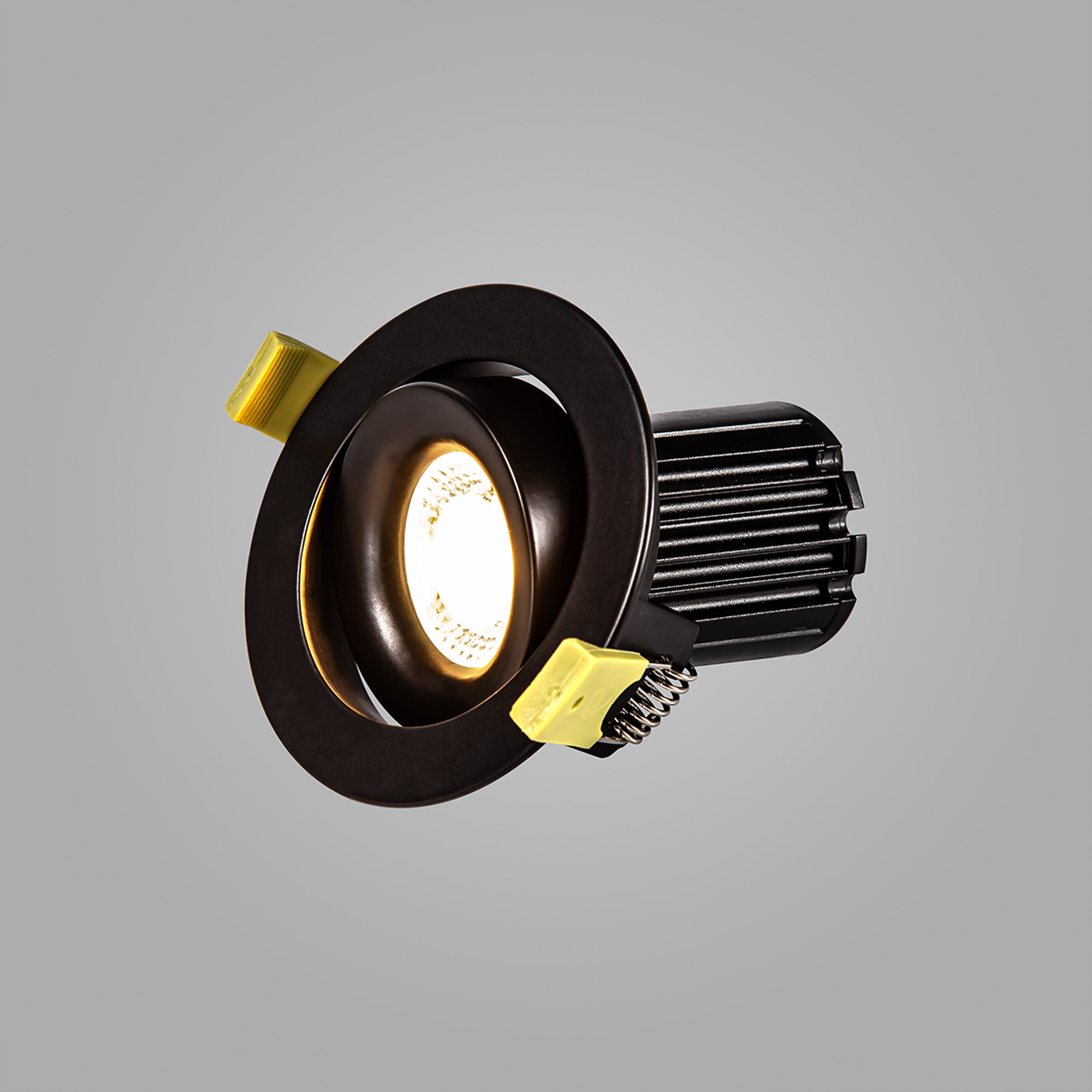 Bruve Recessed Ceiling Luminaires Dlux Round Recess Ceiling